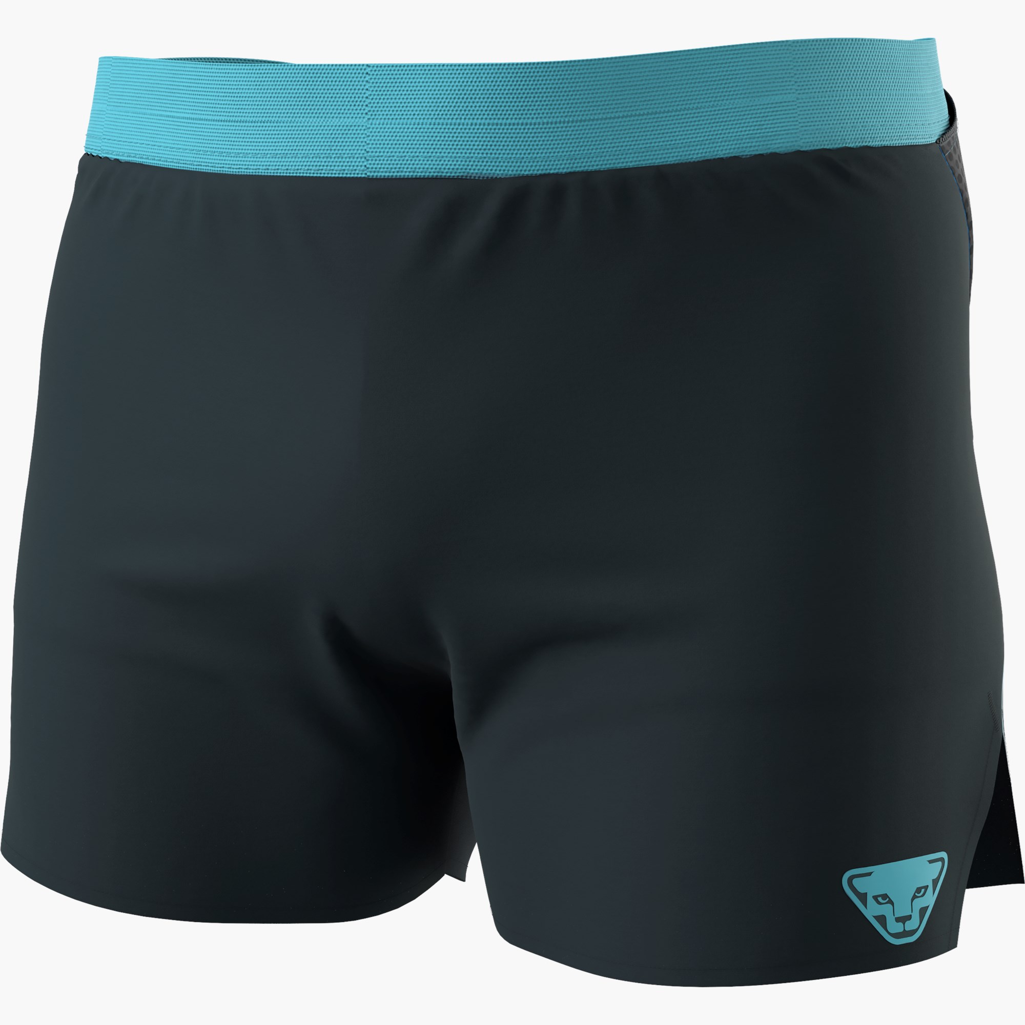 Dynafit Sky Shorts Men Blue (size L)  (Gr.L)  for Trail and Ultra Running